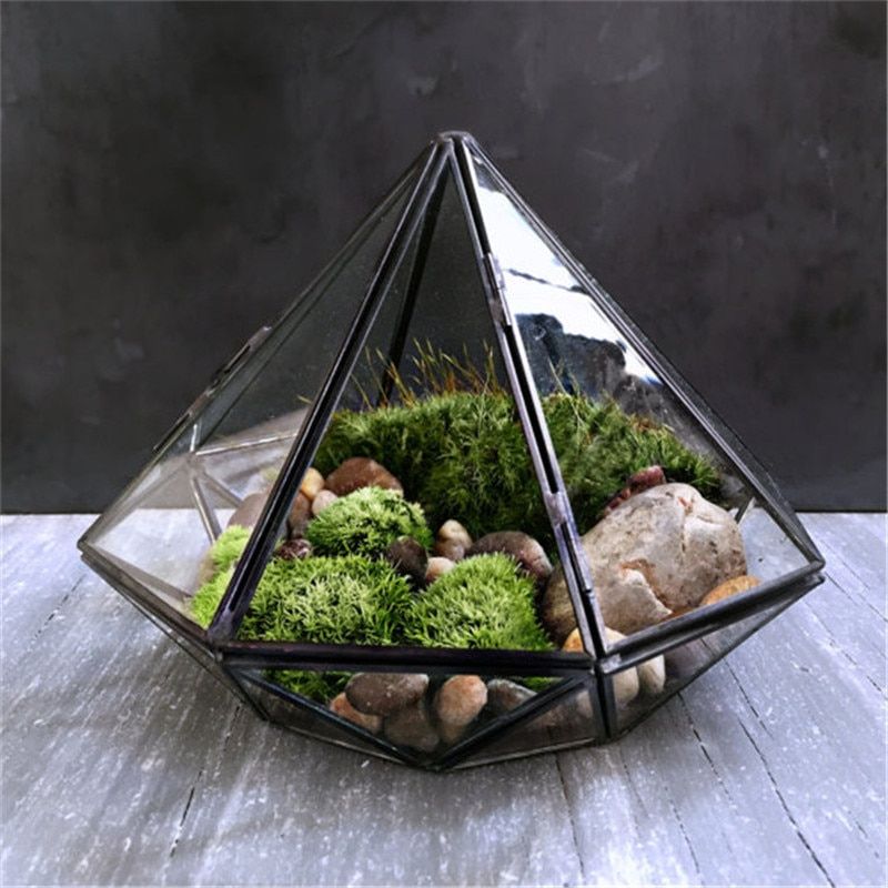 diamond shaped glass terrarium dark in a dark background setting 800x800