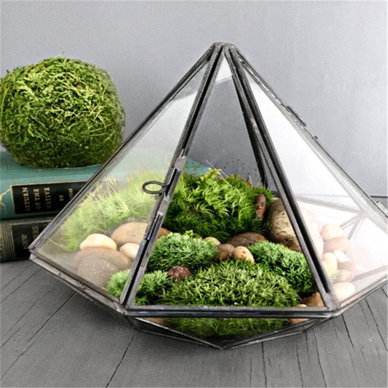 diamond shaped glass terrarium in a book setting 800x800