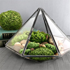 diamond shaped glass terrarium in a book setting 800x800