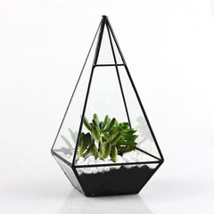 geometric pyramid glass terrarium with plant inside 800x800