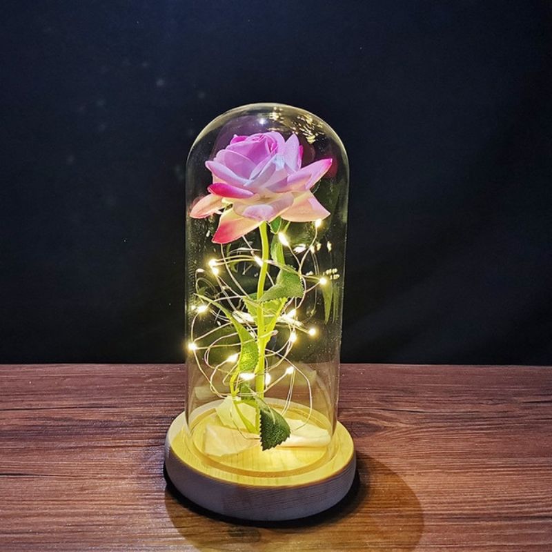 pink enchanted rose with string lights in a dome 800x800