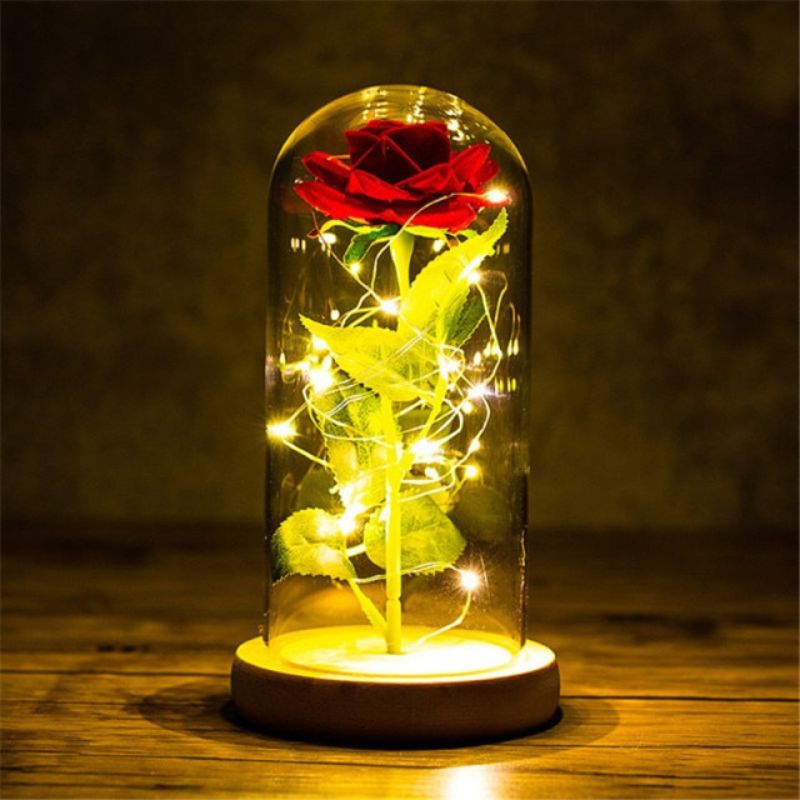 red enchanted rose with string lights in a dome 800x800