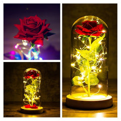 red enchanted rose with string lights in a dome collage image 800x800