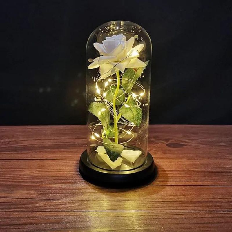 white enchanted rose with string lights in a dome 800x800