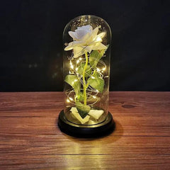 white enchanted rose with string lights in a dome 800x800